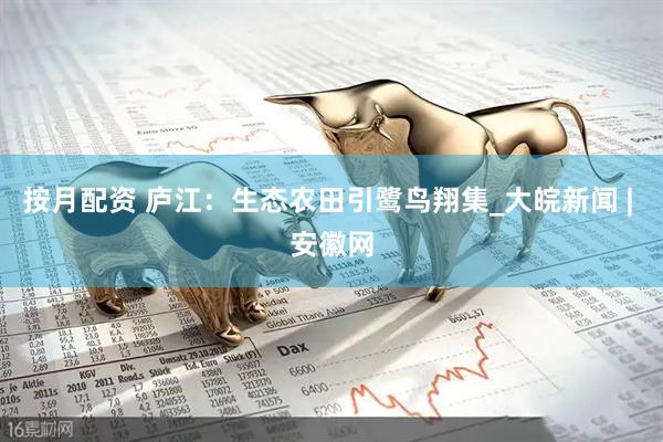 按月配资 庐江：生态农田引鹭鸟翔集_大皖新闻 | 安徽网